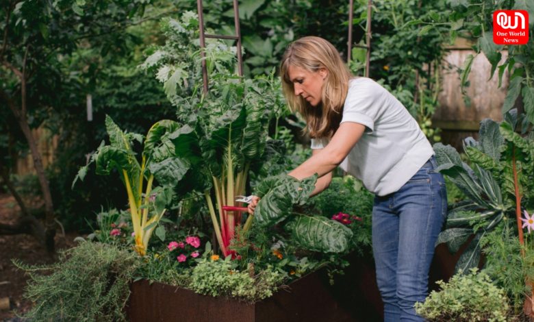 Kitchen Garden