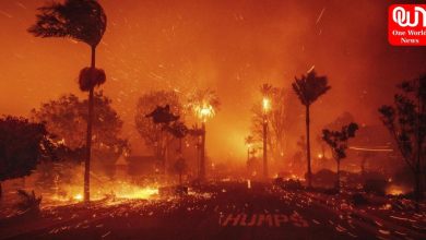 Los Angeles Wildfires