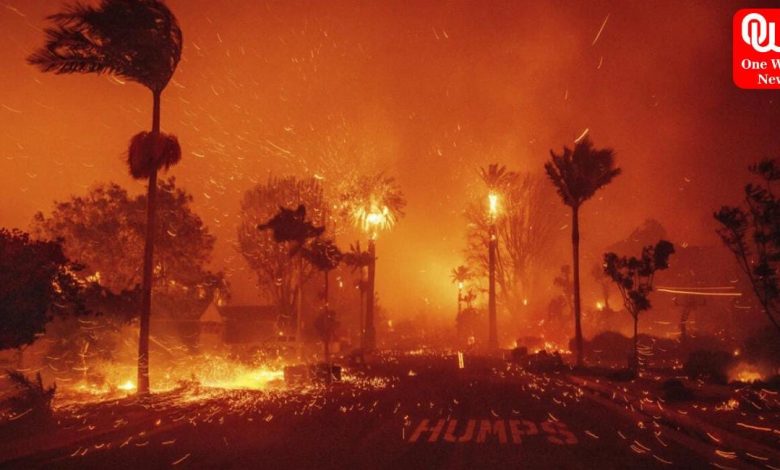 Los Angeles Wildfires