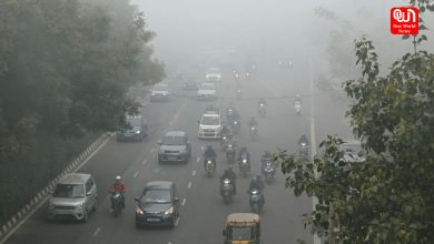 Safe Driving Tips in Foggy Weather