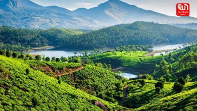 Travel to Munnar