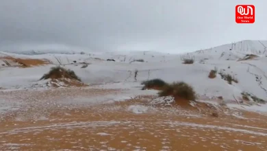 First Snow In Sahara