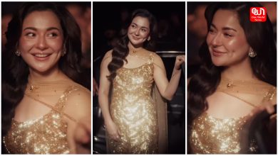 Hania Aamir Recreates Shanti Priya