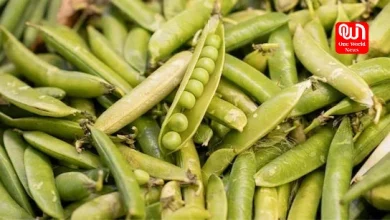 How To Store Peas