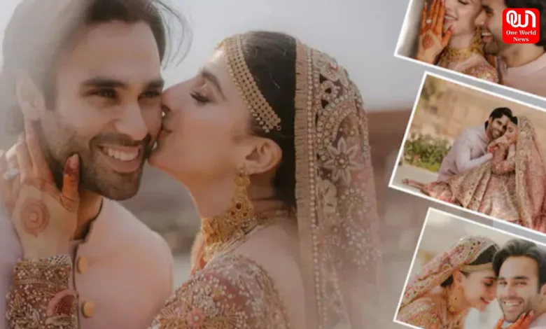 Mawra Hocane Wedding Reception