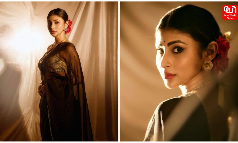 Mouni Roy Saree Look