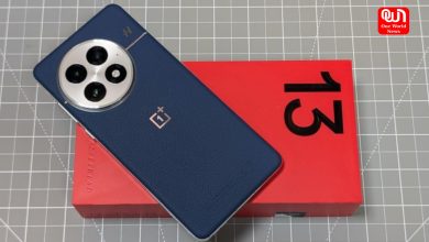 OnePlus 13