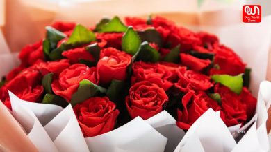 Rose Day 2025