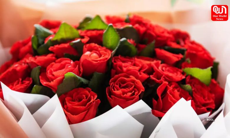 Rose Day 2025