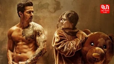 Sanam Teri Kasam Box Office Day 4