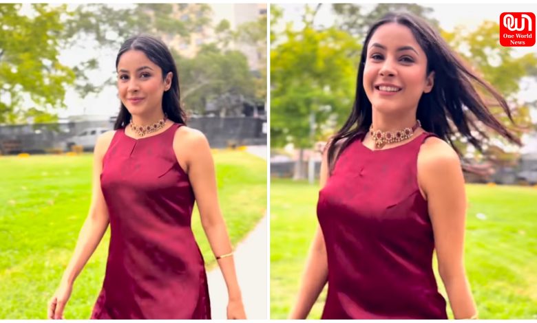 Shehnaaz Gill Desi Look