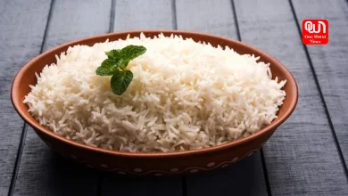 Type Of Rice