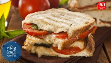 Cheese Tomato Sandwich