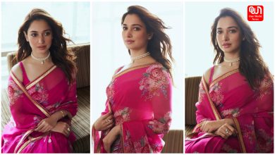 Tamannaah Bhatia Saree Look