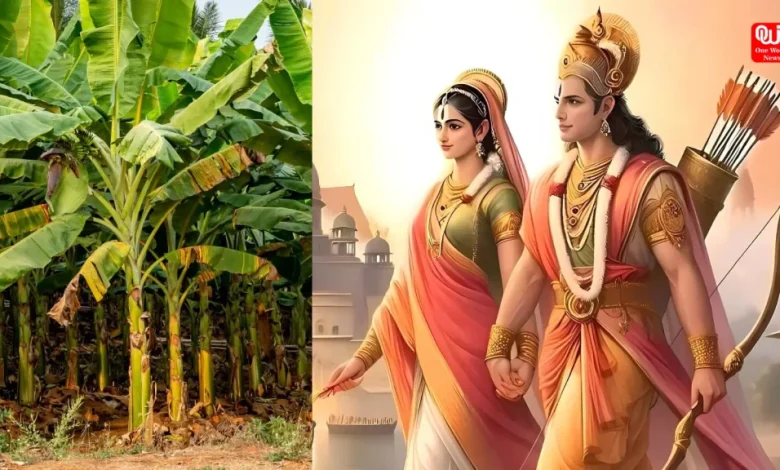 Vivah Panchami 2024