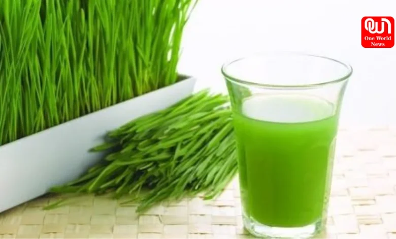 Benefits Of Durva Grass