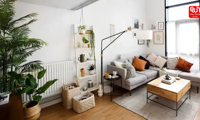 Home Decor Tips
