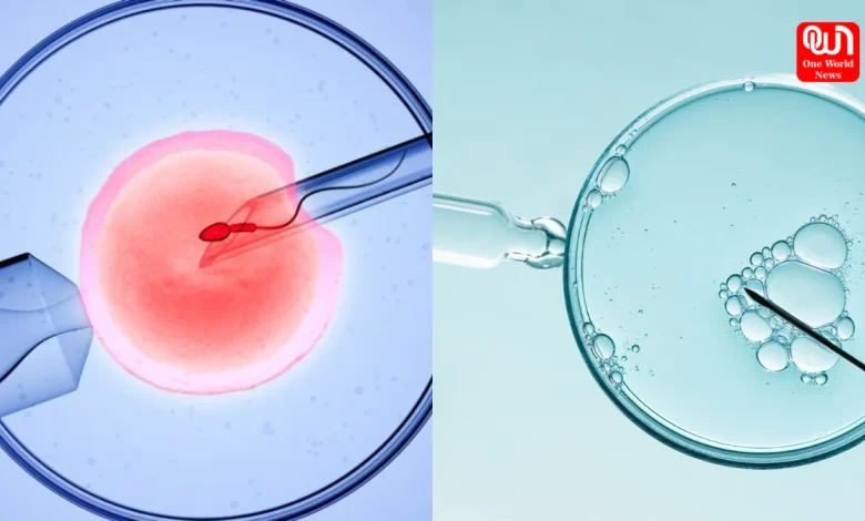 IVF Treatment