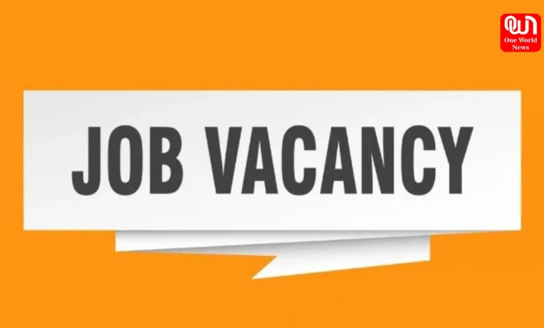 Job Vacancy 2025