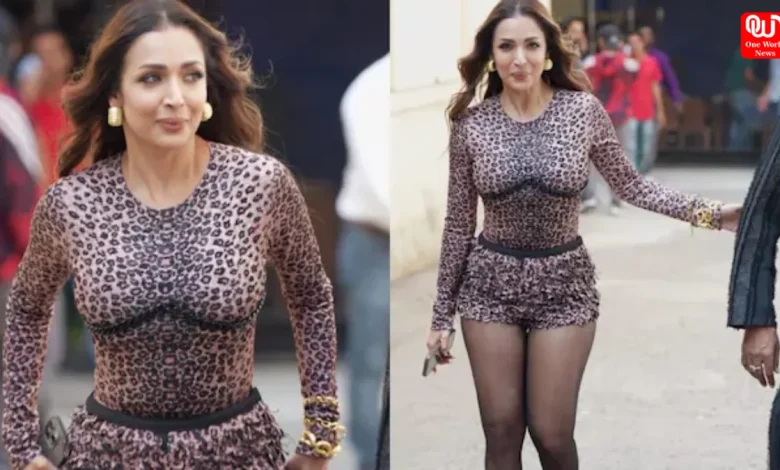 Malaika Arora Killer Look