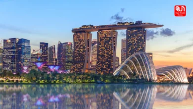 7 Budget-Friendly Place