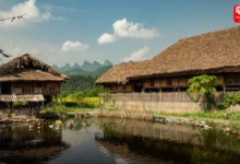 Bardhanara Village in Assam