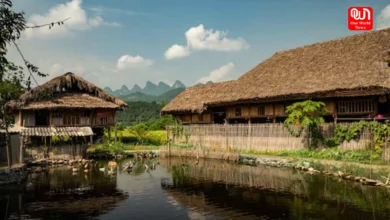 Bardhanara Village in Assam