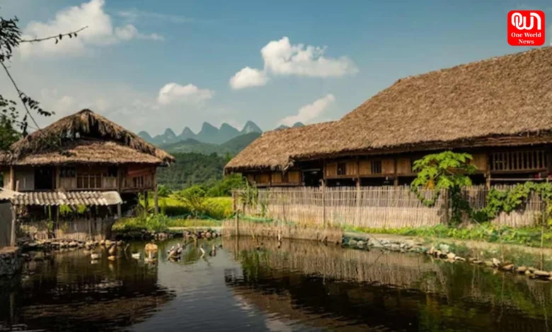 Bardhanara Village in Assam