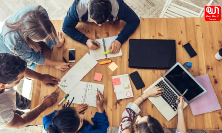Career Tips After Higher Secondary