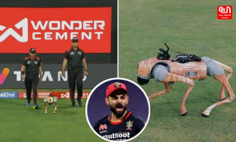 Champak Robot Dog in IPL 2025