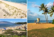 Coopers Beach