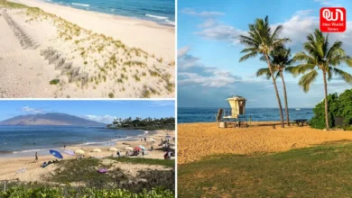 Coopers Beach