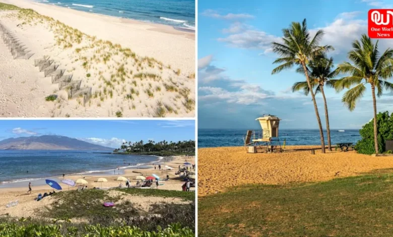 Coopers Beach