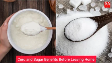 Curd and Sugar Benefits Before Leaving Home