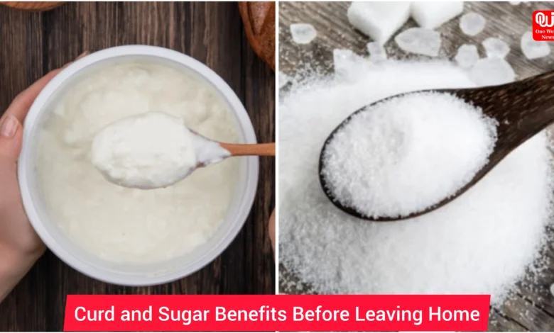 Curd and Sugar Benefits Before Leaving Home