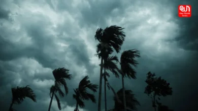 Cyclone Alert
