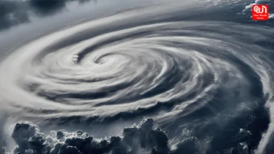 Cyclone Safety Tips