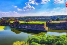 Discover Wildlife Spots In India