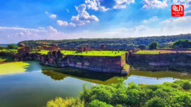 Discover Wildlife Spots In India