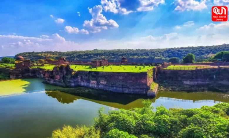Discover Wildlife Spots In India