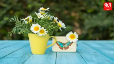 Flowering Plants