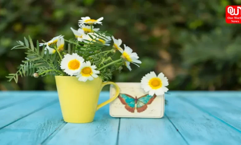 Flowering Plants