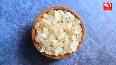 Health Benefits Of Gond Katira