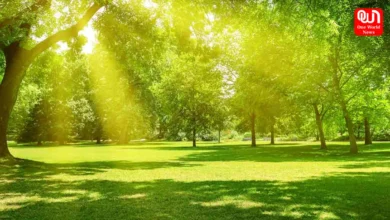 Health Benefits Of Summer Season