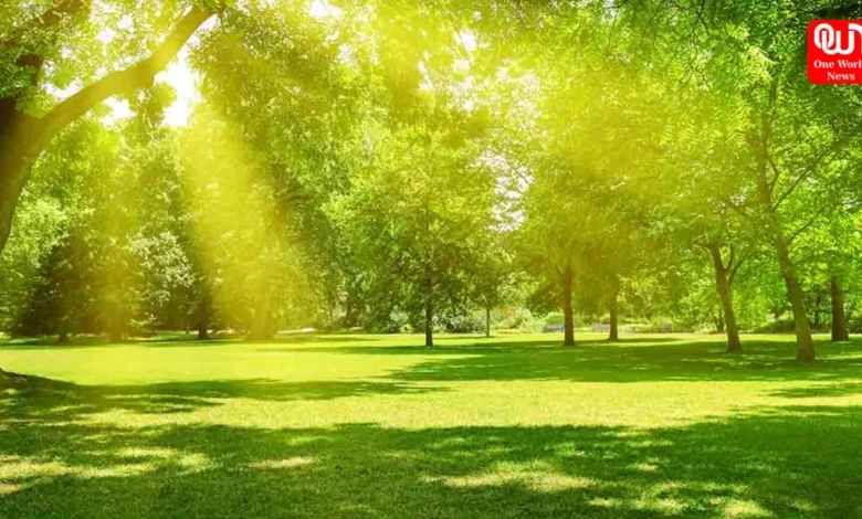 Health Benefits Of Summer Season