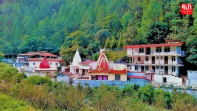 Kainchi Dham Travel