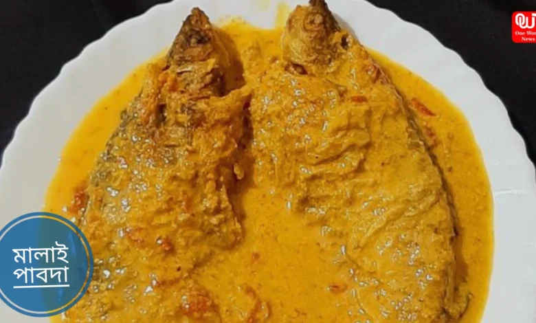 Malai Pabda Recipe