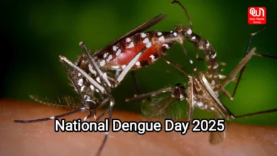 National Dengue Day 2025