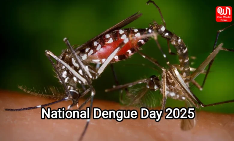 National Dengue Day 2025