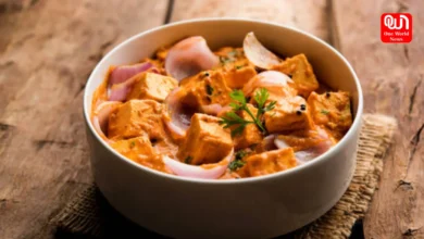 Paneer Lover